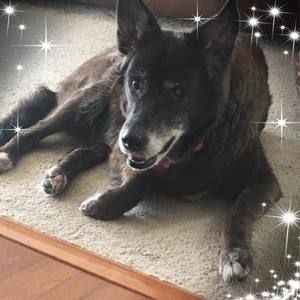 Meet your Posher, Val